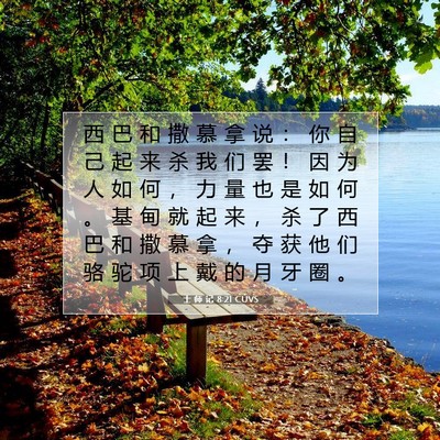 Picture 07 - 士 师 记 8:21 CUVS - 西 巴 和 撒 慕 拿 说 ： 你 自 己 起 - Bible Verse Picture