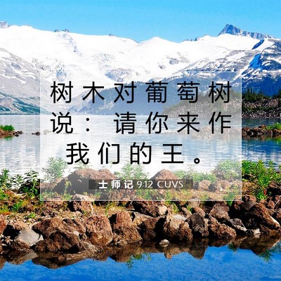 Picture 07 - 士 师 记 9:12 CUVS - 树 木 对 葡 萄 树 说 ： 请 你 来 作 - Bible Verse Picture