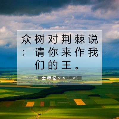 Picture 07 - 士 师 记 9:14 CUVS - 众 树 对 荆 棘 说 ： 请 你 来 作 我 - Bible Verse Picture