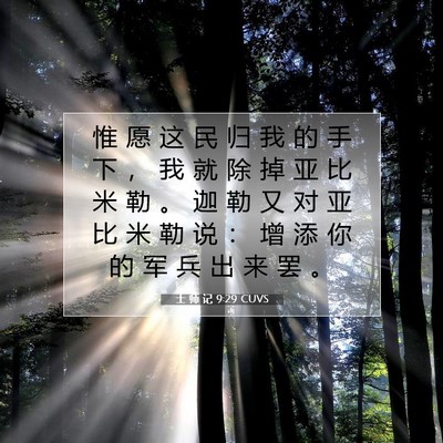 Picture 07 - 士 师 记 9:29 CUVS - 惟 愿 这 民 归 我 的 手 下 ， 我 就 - Bible Verse Picture