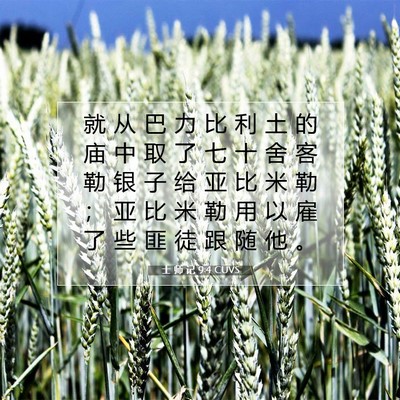 Picture 07 - 士 师 记 9:4 CUVS - 就 从 巴 力 比 利 土 的 庙 中 取 了 - Bible Verse Picture