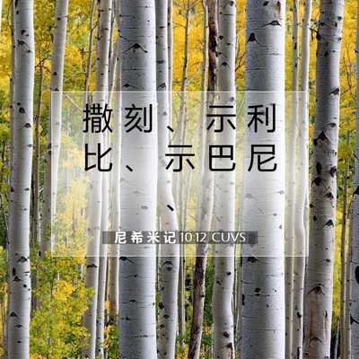 Picture 07 - 尼 希 米 记 10:12 CUVS - 撒 刻 、 示 利 比 、 示 巴 尼 - Bible Verse Picture