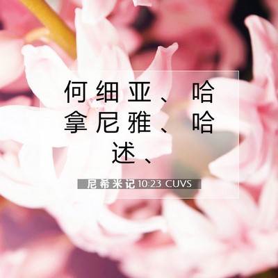 Picture 07 - 尼 希 米 记 10:23 CUVS - 何 细 亚 、 哈 拿 尼 雅 、 哈 述 - Bible Verse Picture