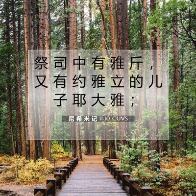 Picture 07 - 尼 希 米 记 11:10 CUVS - 祭 司 中 有 雅 斤 ， 又 有 约 雅 立 - Bible Verse Picture