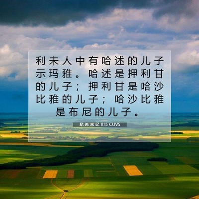 Picture 07 - 尼 希 米 记 11:15 CUVS - 利 未 人 中 有 哈 述 的 儿 子 示 玛 - Bible Verse Picture