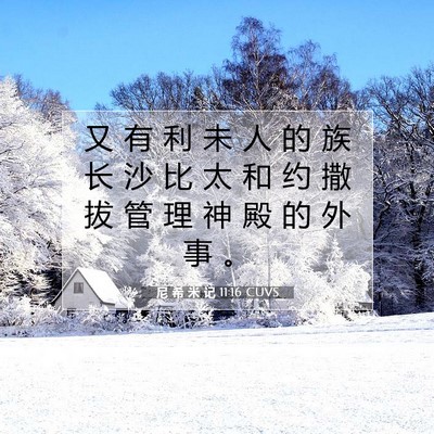 Picture 07 - 尼 希 米 记 11:16 CUVS - 又 有 利 未 人 的 族 长 沙 比 太 和 - Bible Verse Picture