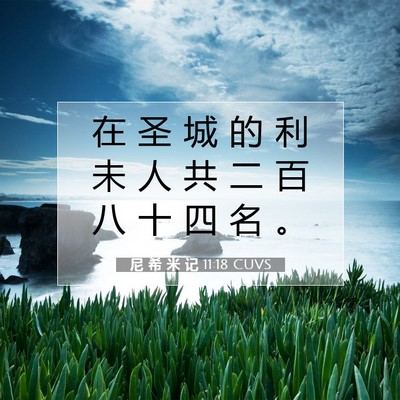 Picture 07 - 尼 希 米 记 11:18 CUVS - 在 圣 城 的 利 未 人 共 二 百 八 十 - Bible Verse Picture