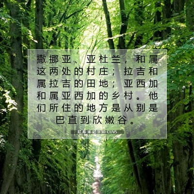 Picture 07 - 尼 希 米 记 11:30 CUVS - 撒 挪 亚 、 亚 杜 兰 ， 和 属 这 两 - Bible Verse Picture