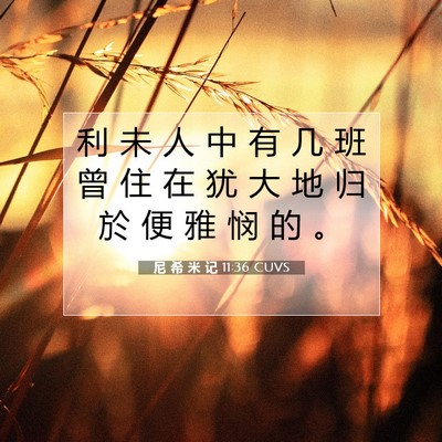 Picture 07 - 尼 希 米 记 11:36 CUVS - 利 未 人 中 有 几 班 曾 住 在 犹 大 - Bible Verse Picture