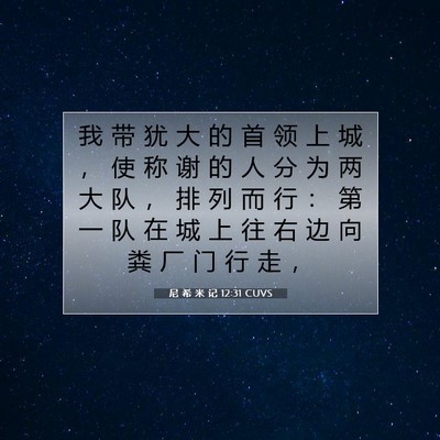 Picture 07 - 尼 希 米 记 12:31 CUVS - 我 带 犹 大 的 首 领 上 城 ， 使 称 - Bible Verse Picture