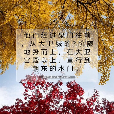 Picture 07 - 尼 希 米 记 12:37 CUVS - 他 们 经 过 泉 门 往 前 ， 从 大 卫 - Bible Verse Picture