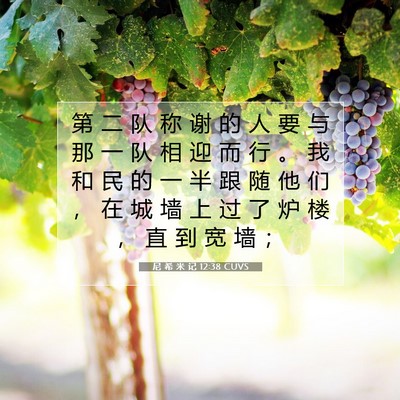 Picture 07 - 尼 希 米 记 12:38 CUVS - 第 二 队 称 谢 的 人 要 与 那 一 队 - Bible Verse Picture