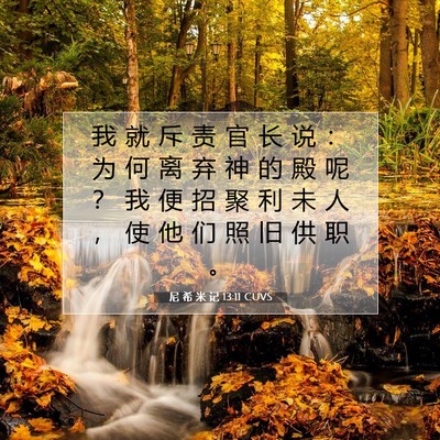 Picture 07 - 尼 希 米 记 13:11 CUVS - 我 就 斥 责 官 长 说 ： 为 何 离 弃 - Bible Verse Picture