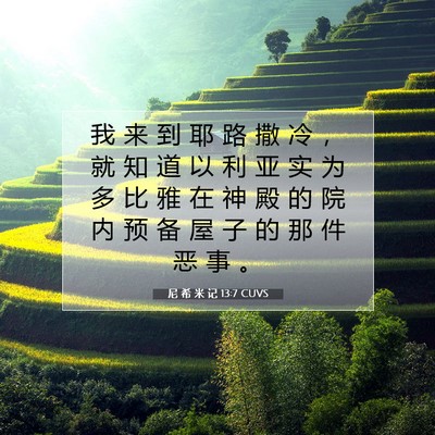 Picture 07 - 尼 希 米 记 13:7 CUVS - 我 来 到 耶 路 撒 冷 ， 就 知 道 以 - Bible Verse Picture
