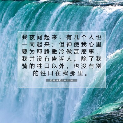 Picture 07 - 尼 希 米 记 2:12 CUVS - 我 夜 间 起 来 ， 有 几 个 人 也 一 - Bible Verse Picture