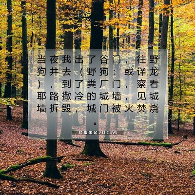 Picture 07 - 尼 希 米 记 2:13 CUVS - 当 夜 我 出 了 谷 门 ， 往 野 狗 井 - Bible Verse Picture