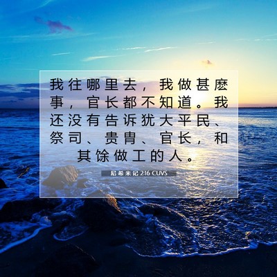 Picture 07 - 尼 希 米 记 2:16 CUVS - 我 往 哪 里 去 ， 我 做 甚 麽 事 ， - Bible Verse Picture