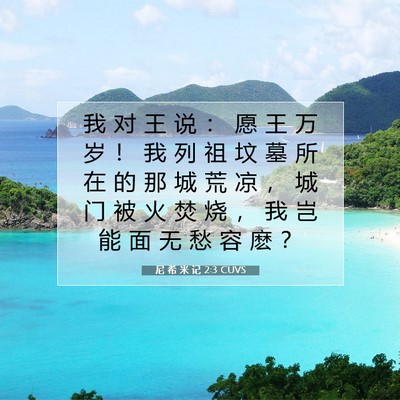 Picture 07 - 尼 希 米 记 2:3 CUVS - 我 对 王 说 ： 愿 王 万 岁 ！ 我 列 - Bible Verse Picture