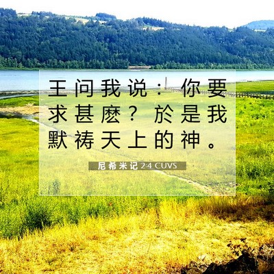 Picture 07 - 尼 希 米 记 2:4 CUVS - 王 问 我 说 ： 你 要 求 甚 麽 ？ 於 - Bible Verse Picture