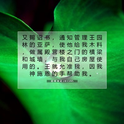 Picture 07 - 尼 希 米 记 2:8 CUVS - 又 赐 诏 书 ， 通 知 管 理 王 园 林 - Bible Verse Picture