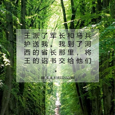 Picture 07 - 尼 希 米 记 2:9 CUVS - 王 派 了 军 长 和 马 兵 护 送 我 。 - Bible Verse Picture