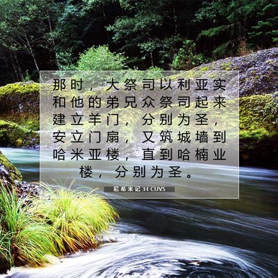 Picture 07 - 尼 希 米 记 3:1 CUVS - 那 时 ， 大 祭 司 以 利 亚 实 和 他 - Bible Verse Picture