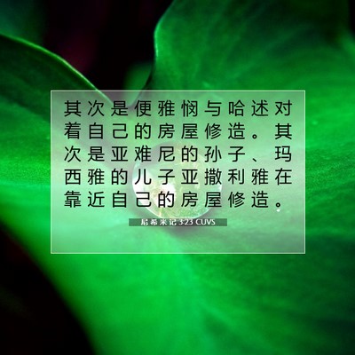 Picture 07 - 尼 希 米 记 3:23 CUVS - 其 次 是 便 雅 悯 与 哈 述 对 着 自 - Bible Verse Picture