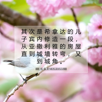 Picture 07 - 尼 希 米 记 3:24 CUVS - 其 次 是 希 拿 达 的 儿 子 宾 内 修 - Bible Verse Picture