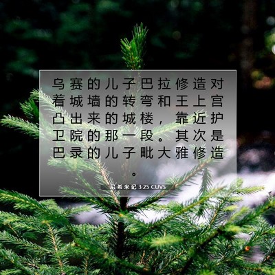 Picture 07 - 尼 希 米 记 3:25 CUVS - 乌 赛 的 儿 子 巴 拉 修 造 对 着 城 - Bible Verse Picture