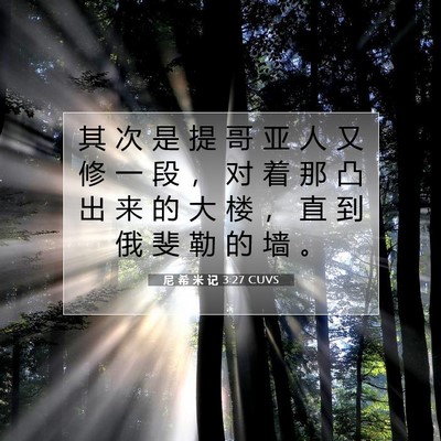 Picture 07 - 尼 希 米 记 3:27 CUVS - 其 次 是 提 哥 亚 人 又 修 一 段 ， - Bible Verse Picture