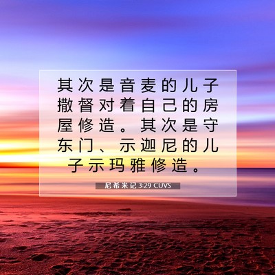Picture 07 - 尼 希 米 记 3:29 CUVS - 其 次 是 音 麦 的 儿 子 撒 督 对 着 - Bible Verse Picture