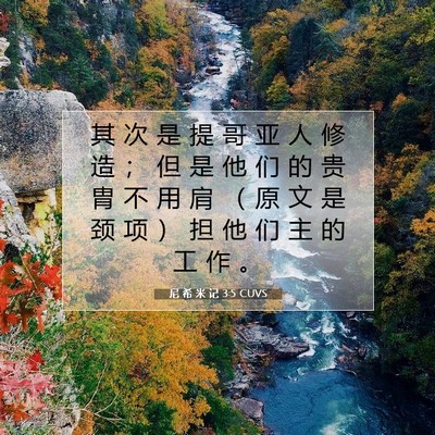 Picture 07 - 尼 希 米 记 3:5 CUVS - 其 次 是 提 哥 亚 人 修 造 ； 但 是 - Bible Verse Picture