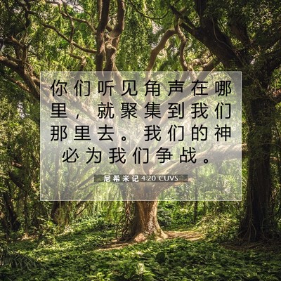 Picture 07 - 尼 希 米 记 4:20 CUVS - 你 们 听 见 角 声 在 哪 里 ， 就 聚 - Bible Verse Picture