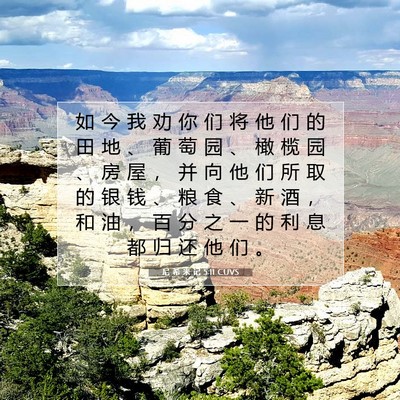 Picture 07 - 尼 希 米 记 5:11 CUVS - 如 今 我 劝 你 们 将 他 们 的 田 地 - Bible Verse Picture