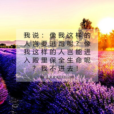 Picture 07 - 尼 希 米 记 6:11 CUVS - 我 说 ： 像 我 这 样 的 人 岂 要 逃 - Bible Verse Picture