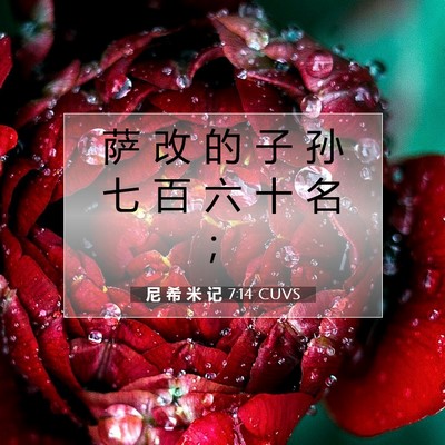 Picture 07 - 尼 希 米 记 7:14 CUVS - 萨 改 的 子 孙 七 百 六 十 名 - Bible Verse Picture