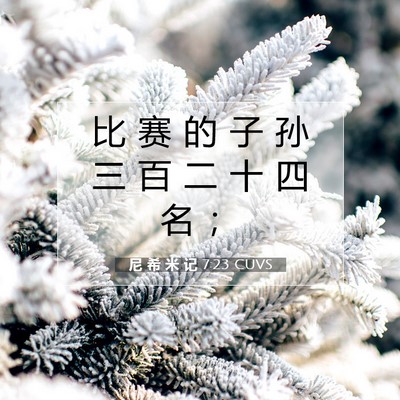 Picture 07 - 尼 希 米 记 7:23 CUVS - 比 赛 的 子 孙 三 百 二 十 四 名 - Bible Verse Picture