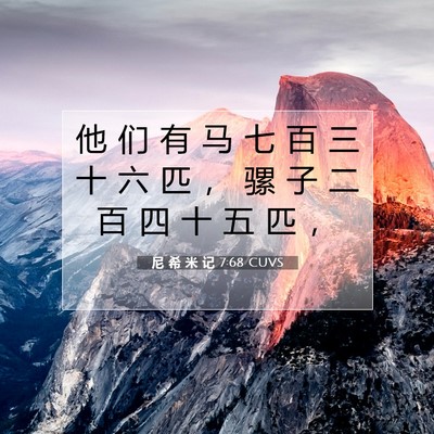 Picture 07 - 尼 希 米 记 7:68 CUVS - 他 们 有 马 七 百 三 十 六 匹 ， 骡 - Bible Verse Picture