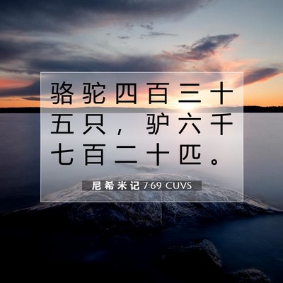 Picture 07 - 尼 希 米 记 7:69 CUVS - 骆 驼 四 百 三 十 五 只 ， 驴 六 千 - Bible Verse Picture