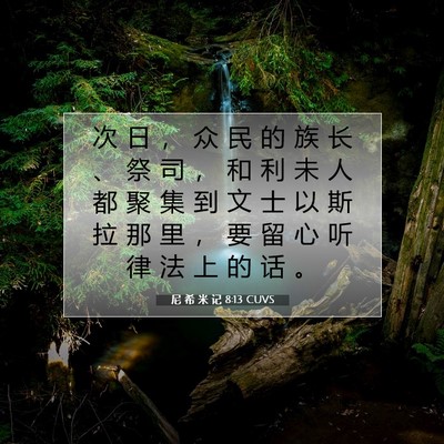 Picture 07 - 尼 希 米 记 8:13 CUVS - 次 日 ， 众 民 的 族 长 、 祭 司 ， - Bible Verse Picture