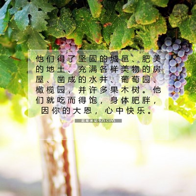 Picture 07 - 尼 希 米 记 9:25 CUVS - 他 们 得 了 坚 固 的 城 邑 、 肥 美 - Bible Verse Picture