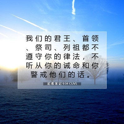 Picture 07 - 尼 希 米 记 9:34 CUVS - 我 们 的 君 王 、 首 领 、 祭 司 、 - Bible Verse Picture