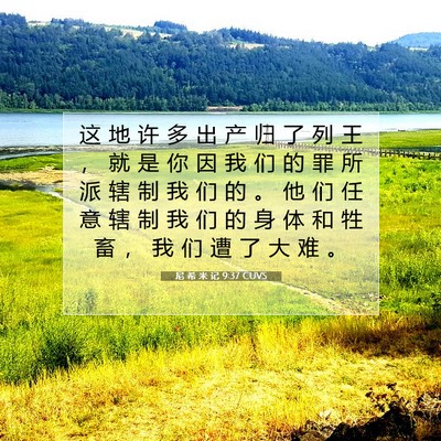 Picture 07 - 尼 希 米 记 9:37 CUVS - 这 地 许 多 出 产 归 了 列 王 ， 就 - Bible Verse Picture