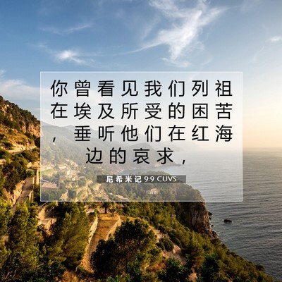 Picture 07 - 尼 希 米 记 9:9 CUVS - 你 曾 看 见 我 们 列 祖 在 埃 及 所 - Bible Verse Picture