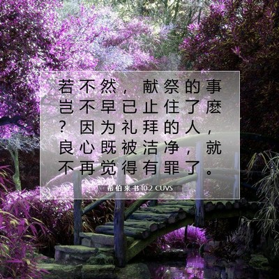 Picture 07 - 希 伯 来 书 10:2 CUVS - 若 不 然 ， 献 祭 的 事 岂 不 早 已 - Bible Verse Picture