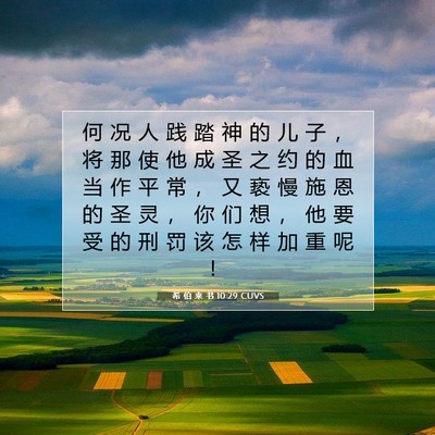 Picture 07 - 希 伯 来 书 10:29 CUVS - 何 况 人 践 踏 神 的 儿 子 ， 将 那 - Bible Verse Picture