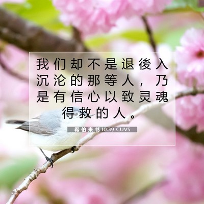 Picture 07 - 希 伯 来 书 10:39 CUVS - 我 们 却 不 是 退 後 入 沉 沦 的 那 - Bible Verse Picture