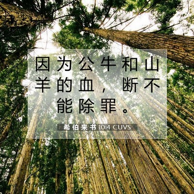 Picture 07 - 希 伯 来 书 10:4 CUVS - 因 为 公 牛 和 山 羊 的 血 ， 断 不 - Bible Verse Picture