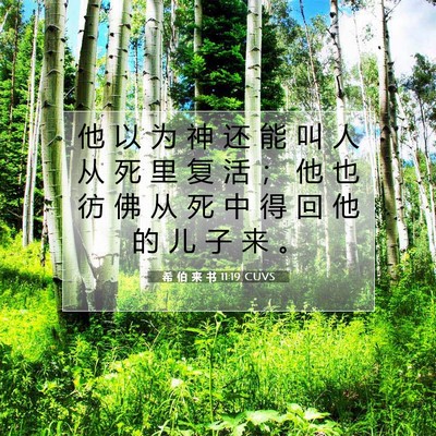 Picture 07 - 希 伯 来 书 11:19 CUVS - 他 以 为 神 还 能 叫 人 从 死 里 复 - Bible Verse Picture