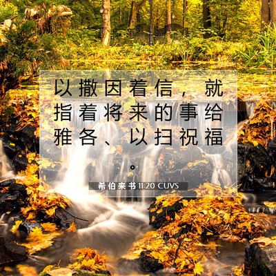 Picture 07 - 希 伯 来 书 11:20 CUVS - 以 撒 因 着 信 ， 就 指 着 将 来 的 - Bible Verse Picture
